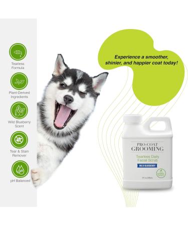 Buy Tearless Daily Facial Scrub (Wild Blueberry) - 1 Gallon | 128 Fl Oz | Gentle Exfoliant for All Skin Types | International Shipping Available - Buy Online on GoSupps.com