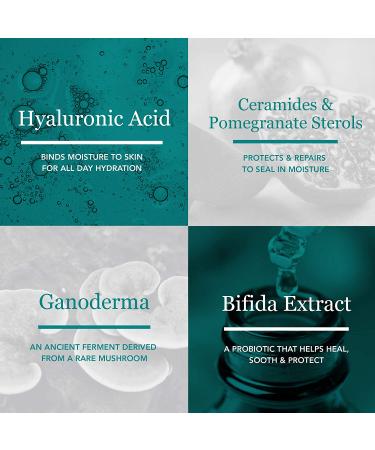 BeautyStat Cosmetics Universal Pro-Bio Hyaluronic Acid Facial Moisturizer 1.7oz - Anti Aging & Anti Wrinkle Formula - Buy Online on GoSupps.com