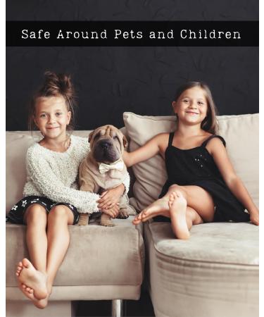 Hair & Body Mists (0.5 Fl Oz Coconut Lime Verbena) Coconut Lime Verbena 0.5 Fl Oz - Buy Online on GoSupps.com