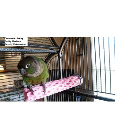 Polly's Tooty Fruity Pollen Bird Perch - Medium | Assorted Flavor - Buy Online on GoSupps.com