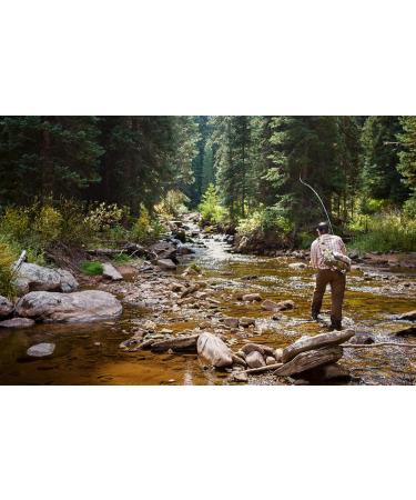 Buy Tungsten Beads Prince Nymphs Fly Fishing Hooks - Set of 12 Size 16 | The Fly Fishing Place - Buy Online on GoSupps.com