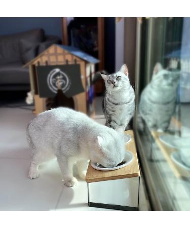 Raised Ceramic Cat Bowls with Tilted Bamboo Stand - Anti Vomiting, Whisker-Friendly, 5.5 Wide Dish for Food and Water - Indoor Iron Stand Bowl - Buy Online on GoSupps.com