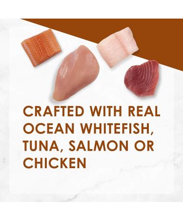 Fancy Feast Wet Cat Food Variety Pack: Gravy Lovers | Creamy Delights (24 Cans) - Buy Online on GoSupps.com