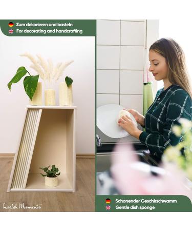 Loofah Moments Luffa Sponge | 44cm Large Natural Luffa Gourd for Body Scrub Soap Making & Handicrafts - Eco-Friendly Cosmetics - Buy Online on GoSupps.com