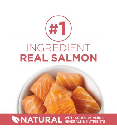 Purina ONE +Plus Dry Cat Food Indoor Advantage Salmon - 1.8 kg Bag 1.8 kg (Pack of 1) - Buy Online on GoSupps.com