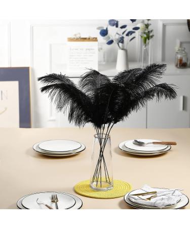 Ballinger Black Ostrich Feathers Bulk Kit - 10Pcs 28inch for Floral Arrangement, Wedding & Halloween Decor - Buy Online on GoSupps.com