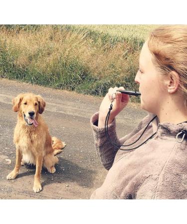 Acme Dog Whistle No. 210.5 - Loud Professional Recall Training | Free Pipe Band - Ideal for All Dogs | International Shipping Available - Buy Online on GoSupps.com