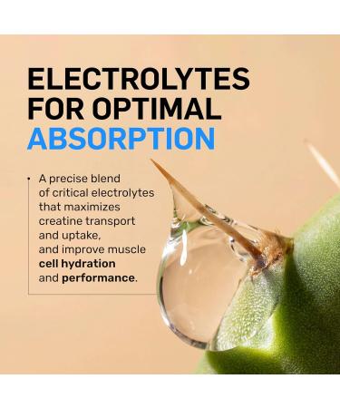 NAKED Lean Creatine HCl Powder 100 Servings - Con-Cret Creatine Hydrochloride with Organic Prickly Pear Extract Electrolytes - Muscle Growth Strength & Cognitive Support - Unflavored Unflavored 8.2 Ounce (Pack of 1) - Buy Online on GoSupps.com