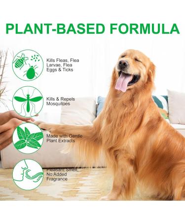 Fleas For Cats Powerful Prevention And Control For Fleas Eggs Fleas And Prevention For Cat Fleas - Buy Online on GoSupps.com