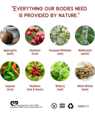 Strauss Naturals Heartdrops - Herbal Heart Support Supplement with European Mistletoe Aged Garlic Extract 100 ml Cinnamon Flavour Soy Free - Buy Online on GoSupps.com