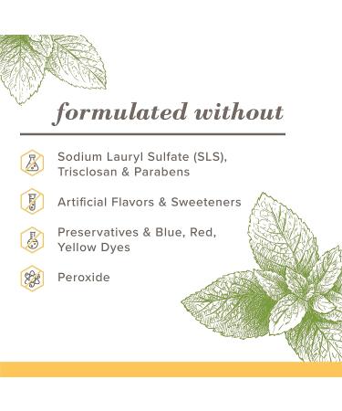 Burt's Bees Purely White Zen Peppermint Toothpaste - 4.7oz (3 Pack) | Natural Flavor, Fluoride Free - Buy Online on GoSupps.com