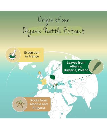 Organic Stinging Nettle Extract Vegavero - 2250mg Root & Leaf Extracts - Blood Sugar & Joint Health Support - Prostate Health - 120 Capsules - Vegan - Urtica Dioica - Buy Online on GoSupps.com