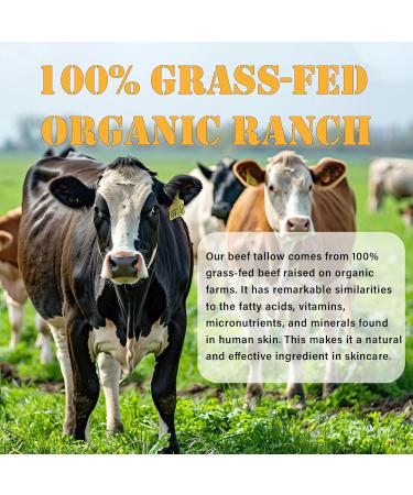 IFVGFB Beef Tallow for Face 100% Grass-Fed Beef Tallow Balm Organic Whipped Tallow Balm with Honey & Vitamin E Handcrafted Tallow Face Moisturizer Natural Formula for Dry & Sensitive Skin - Buy Online on GoSupps.com
