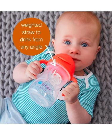b.box Sippy Cup 8oz - Pistachio Green | Baby Straw Cup with Weighted Straw, Easy-Grip Handles | 6m - Buy Online on GoSupps.com
