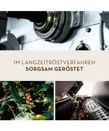 J. Hornig Coffee Ground Special - Mild Aroma & Chocolate Taste | 12x500g | Filter French Press & Espresso Maker - Buy Online on GoSupps.com
