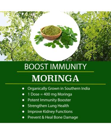 Organic Vegan Super Greens Capsules with Ashwagandha - Immune Support & Energy Boost - Detox Pills with Chlorella, Moringa, Spirulina, Turmeric, Kale - Whole Food Nutrients for Improved Digestion - Buy Online on GoSupps.com