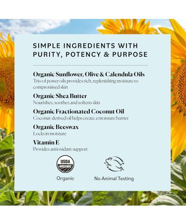 Sky Organics Organic Petroleum-Free Jelly - Multi-Purpose Skin Care Balm with Shea Butter Coconut Oil & Vitamin E - Moisturizing Lip Balm & Dry Skin Moisturizer (2.5 Oz 2 Pack - Buy Online on GoSupps.com