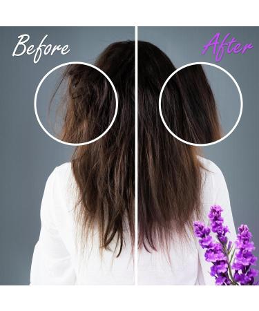 Shampoo Bars & Conditioner Set - Organic Sulfate & Paraben Free Eco-Friendly Hair Growth Travel Size Lavender Scent - Buy Online on GoSupps.com