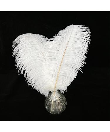 White Ostrich Feathers Craft Pack - 10pcs, 16-18 inch for Wedding, Party, DIY Decor - Buy Online on GoSupps.com