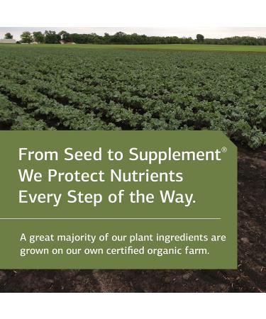 Standard Process Catalyn Chewable - Comprehensive Wellbeing Support with Vitamin D, C, A, B Vitamins & Magnesium - 90 Tablets - Buy Online on GoSupps.com