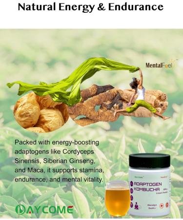 MentalFuel Adaptogen Kombucha Instant Powder - 40 Servings Sparkling Fermented Kombucha Drink with Adaptogen Blends Energy Focus Stress Relief Ashwagandha Rhodiola Reishi Ginseng and Maca Digestion & Immunity Gut-Brain Health Anti-oxidation Low Caffeine N - Buy Online on GoSupps.com
