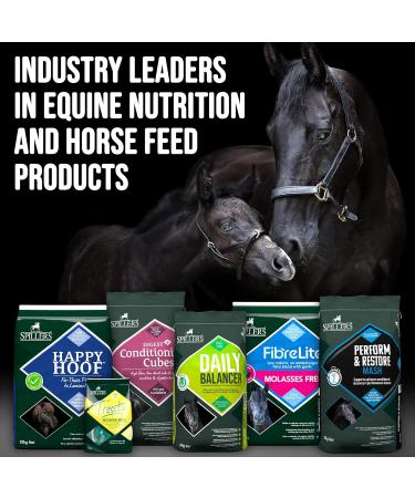 SPILLERS Meadow Herb Horse Treats 1kg - Delicious Treat to Reward Horses and Ponies - Fresh Herbal Flavoured Horse Treats 1 kg (Pack of 1) - Buy Online on GoSupps.com