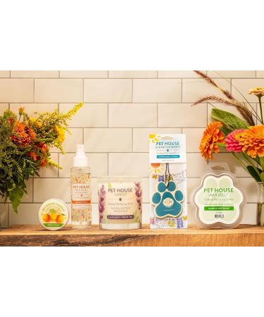 One for All Pet House Candle - Evergreen Forest | 100% Non-Toxic & Eco-Friendly Air Freshener | Remover for Home Odors - Buy Online on GoSupps.com