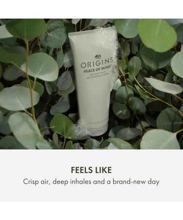 Origins Peace of Mind Daily Body Wash | Cleanses Skin & Awakens Your Senses| With Our Signature Scent of Peppermint Basil and Eucalyptus 6.7 Fl Oz - Buy Online on GoSupps.com
