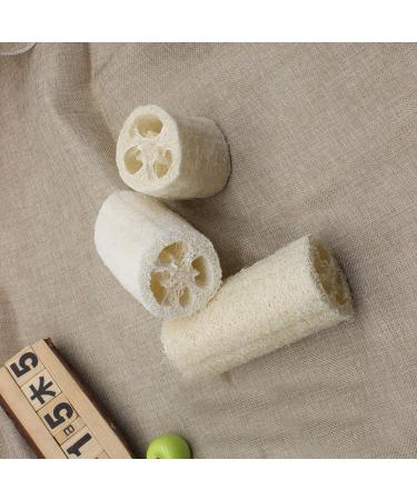Organic 4 Inch Loofah Sponge 5-Pack for Skin Cleansing and Exfoliation | Bath and Shower Puff Scrubber for Daily Body Care - Buy Online on GoSupps.com