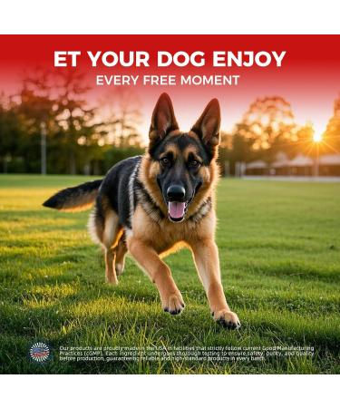 Dog Hip and Joint Supplement - Dog Pain Relief Anti Inflammatory with Glucosamine Chondroitin MSM Turmeric Vitamin E Omega 3 - Treats Hip Dysplasia Arthritis - All Large Small Medium Breed - Buy Online on GoSupps.com