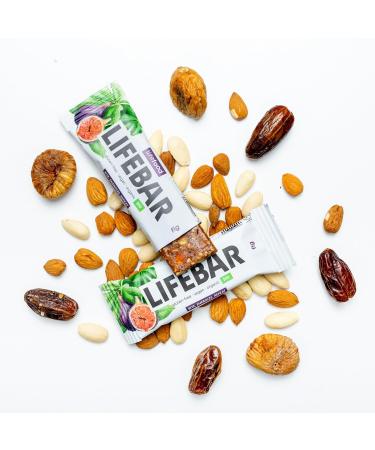 Lifefood Lifebar Energy Seal - Vegan Sports Bars Raw Organic Gluten-Free Lactose-Free No Added Sugar - 15 Pack (Fig Flavor) - Buy Online on GoSupps.com