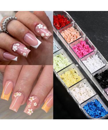 12 Grids 3D Resin Flower Nail Parts Decoration Mixed Steel Beads Gems Charms Nail Supplies Professional Nail Accessories Flower Nail Art Charms - Buy Online on GoSupps.com
