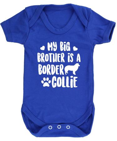 Hippowarehouse My big brother is a Border Collie baby vest bodysuit (short sleeve) boys girls