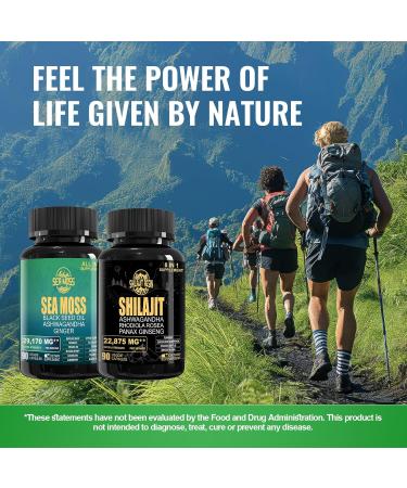 Geloo Superfood Supplement Bundle - 90 Count Sea Moss Capsules (Sea Moss Black Seed Oil) & 90 Count Pure Shilajit Capsules (Shilajit Ashwagandha) -1 Pack - Buy Online on GoSupps.com