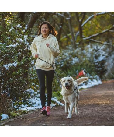 Hands-Free Dog Leash - 2m Adjustable Belly Belt 3-in-1 Running & Training Leash for Large & Small Dogs - Rope Leash in Black - Buy Online on GoSupps.com