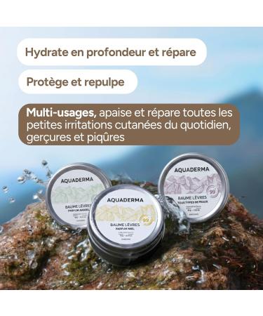  Aquaderma Set of 3 Lip Balms: Coconut & Honey Oil Almond Sunflower 10ml - Aluminum Jar - 99% Natural Origin & Made in France - Intensely Moisturizes and Protects - Buy Online on GoSupps.com