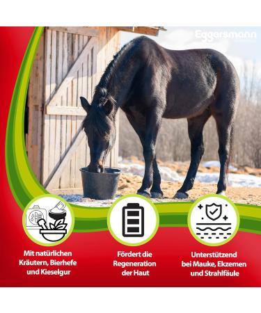 EGGERSMANN My Horse Feed Professional Skin Kur 1 kg - Concentrate with Brewer's Yeast Pebble Gur & Herbs - Supports Skin Regeneration & Immune Defense - Supplementary Feed for Horses & Ponies - Buy Online on GoSupps.com