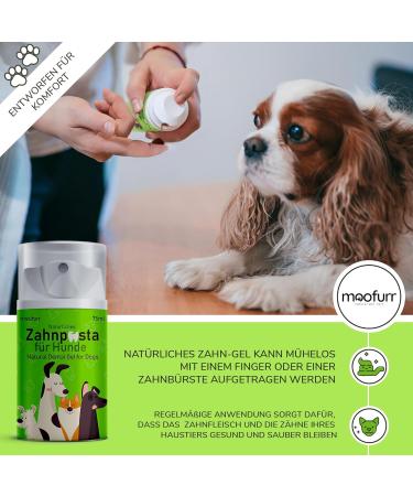 Moofurr Dog Toothpaste 75ml | Plaque & Tartar Remover | Magnolia Bark Dental Care Gel for Dogs - Buy Online on GoSupps.com