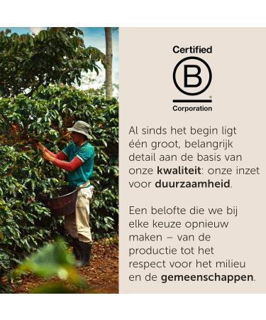 illy Coffee Beans Arabica Selection Brazil Cerrado Mineiro 100 Arabica with Notes of Caramel and Dried Fruit Intense Flavor Pack of 250 g - Buy Online on GoSupps.com