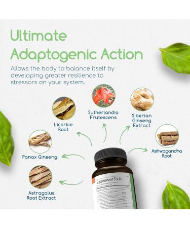 Adaptogen Immune Adaptogens Supplements Ashwagandha Supplements with Siberian Ginseng Astragalus Root and More - Promotes Healthy Body Functioning - Stress Relief Supplement 120 Capsules - Buy Online on GoSupps.com
