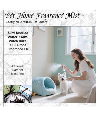 HIQILI 30ML Cinnamon Essential Oil & 150ML Blueberry Fragrance Oil for DIY Diffuser - Buy Online on GoSupps.com