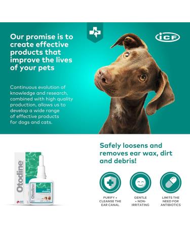 ICF Otodine Ear Cleaner Solution for Cats and Dogs - 100ml - Buy Online on GoSupps.com
