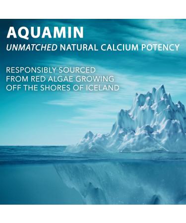 PlantFusion Organic Vegan Calcium Premium Organic Plant Based Calcium (1000mg) Sourced from Icelandic Red Algae Plus Magnesium D3 K2 Iron and Boron 180 Vegan Tablets - Buy Online on GoSupps.com