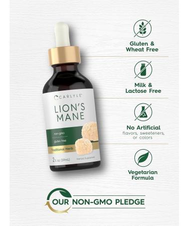 Carlyle Lions Mane Mushroom Liquid Extract | 2 fl oz | Tincture Drops | Alcohol Free | Vegetarian Non-GMO & Gluten Free Supplement - Buy Online on GoSupps.com