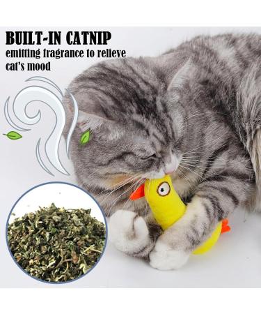 TYXHXTF 2 PCS Cat Toys Pillows for Cat Plush Pillow for Indoor Cats Kitten Chew Toys for Indoor Cats Kitten Teeth Cleaning Playing Soft Cat Hugging Pillow - Buy Online on GoSupps.com