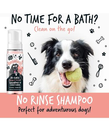 Bugalugs No Rinse Papaya & Coconut Dog Shampoo - Luxury 2 in 1 dog Dry shampoo & conditioner - odour eliminator natural shampoo with dog perfume quick shower for pets - Buy Online on GoSupps.com