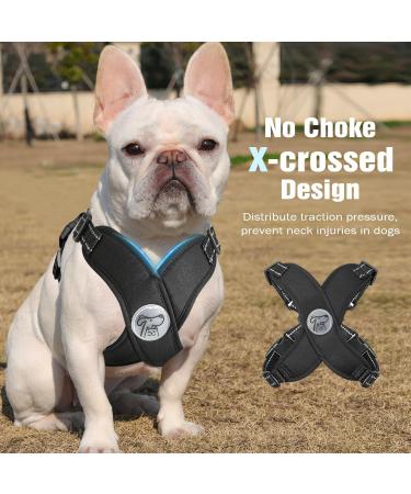Pawaboo Dog Harness & Leash Set | Adjustable Anti-Train Vest for Small & Medium Dogs | Breathable Dog Vest - Large Black - Buy Online on GoSupps.com