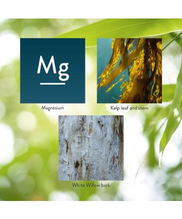 Nature's Sunshine Magnesium 250mg 180 Tablets - Essential Mineral Supplement - Buy Online on GoSupps.com