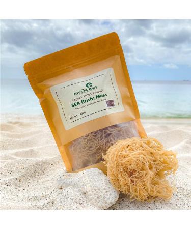 Dr. Sebi Grade 100% Organic Irish Sea Moss | Gold | Caribbean | Wildcrafted Raw Sun Dried | Premium Quality | with Over 90 Minerals and Vitamins Non-GMO and Vegan Sun Dried Superfood 150g/5oz - Buy Online on GoSupps.com