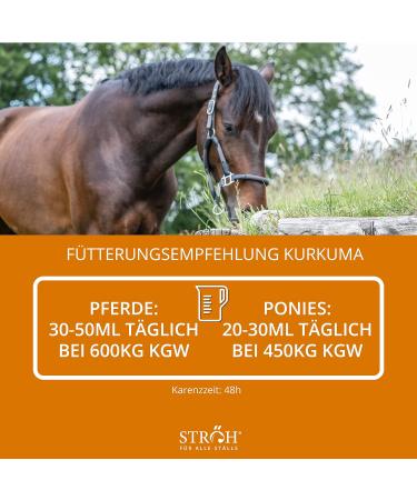 STR H Turmeric for Horses - 1L Dosing Bottle for Healthy Joints Cartilage & Ligament Support - Buy Online on GoSupps.com